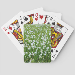 Cotton grass playing cards