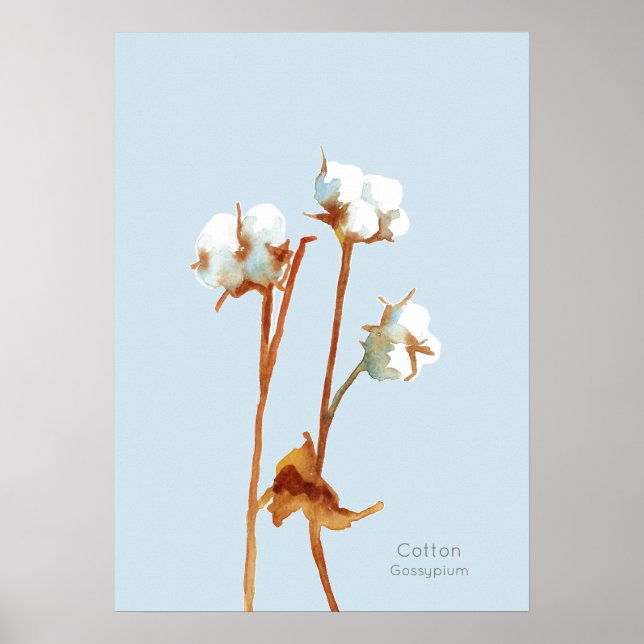 Cotton Plant Botanical Watercolor Poster (Front)