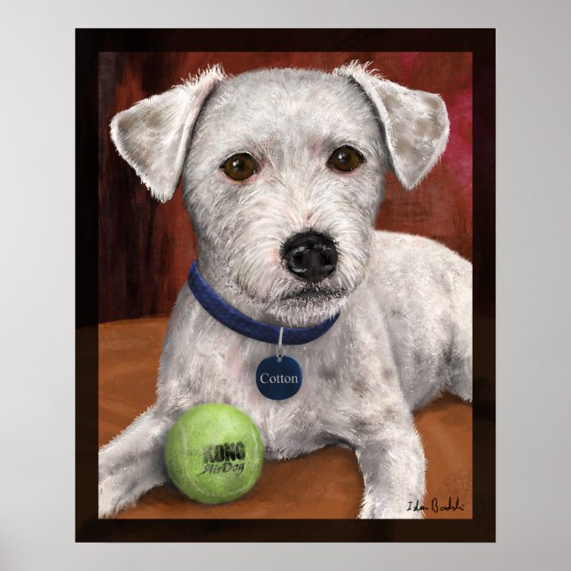 Cotton Poster (Front)