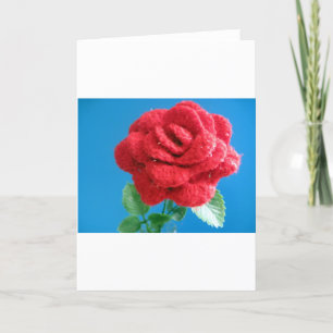 Cotton Red Rose Holiday Card