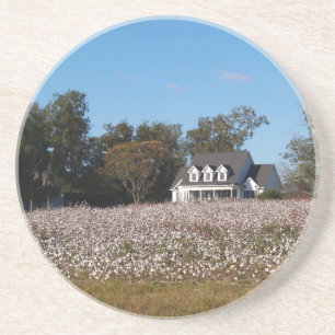 Cotton Series--Home Behind Cotton Field Coaster