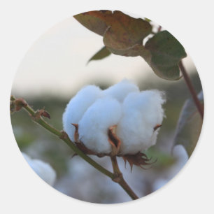 Cotton Sticker