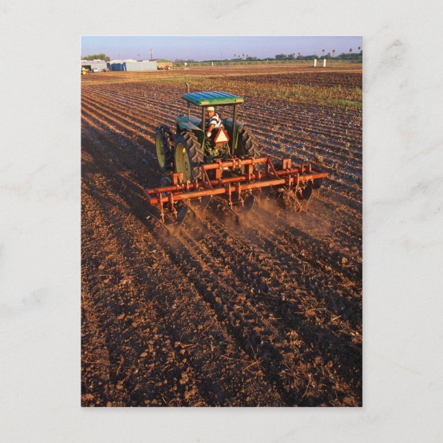 Cotton test field postcard (Front)