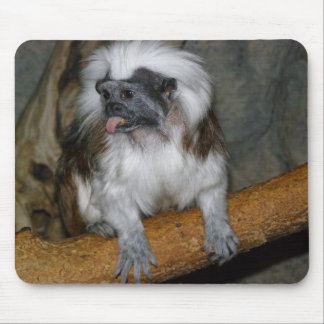 COTTON-TOP TAMARIN, mousepad