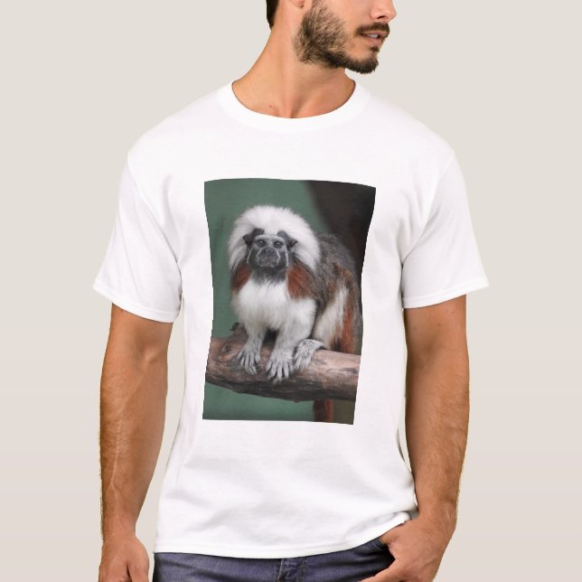 Cotton-top Tamarin T-Shirt (Front)