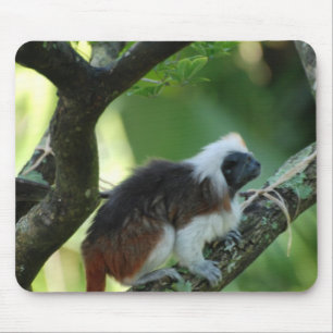 Cotton Topped Tamarin Mouse Pad