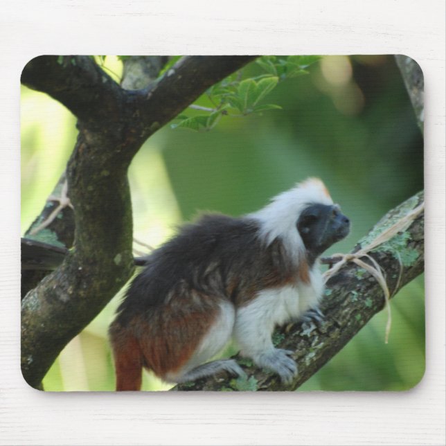Cotton Topped Tamarin Mouse Pad (Front)