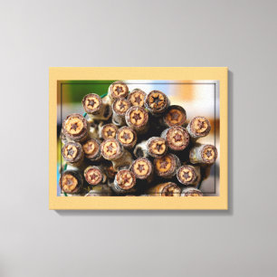 COTTON WOOD STARS ALONG THE RIO GRANDE CANVAS PRIN PRINT