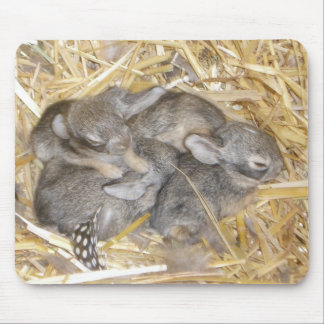 Cottontail Bunnies Mouse Pad