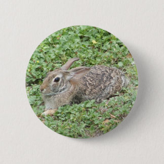 Cottontail rabbit 6 cm round badge