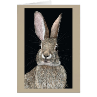 Cottontail Rabbit Card