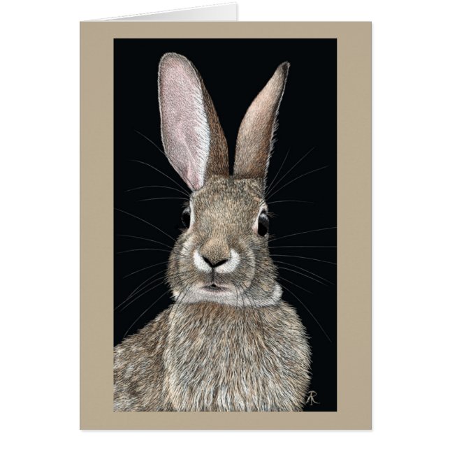 Cottontail Rabbit Card (Front)