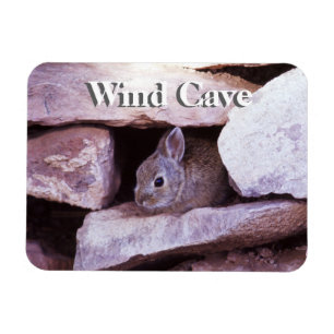 Cottontail Rabbit in Rocks Wind Cave NP Magnet
