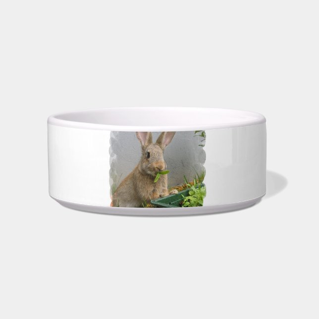 Cottontail Rabbit Pet Bowl (Front)