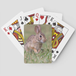 Cottontail Rabbit Playing Cards