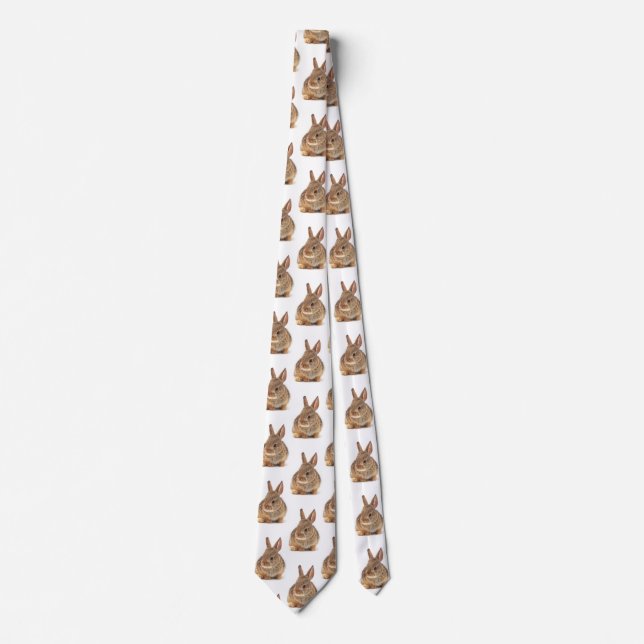 Cottontail Rabbit Tie (Front)