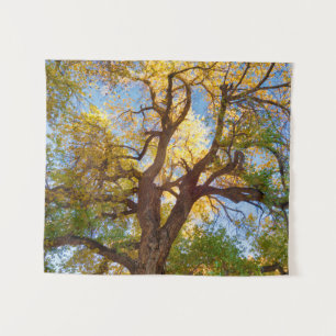 Cottonwood Tree Capitol Reef National Park, Utah Tapestry