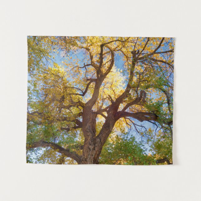 Cottonwood Tree | Capitol Reef National Park, Utah Tapestry (Front (Horizontal))