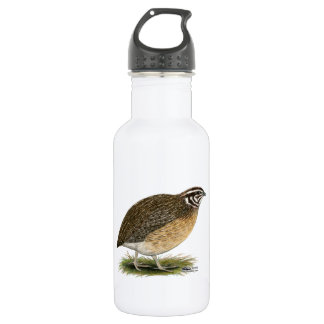 Coturnix Pharaoh Quail 532 Ml Water Bottle