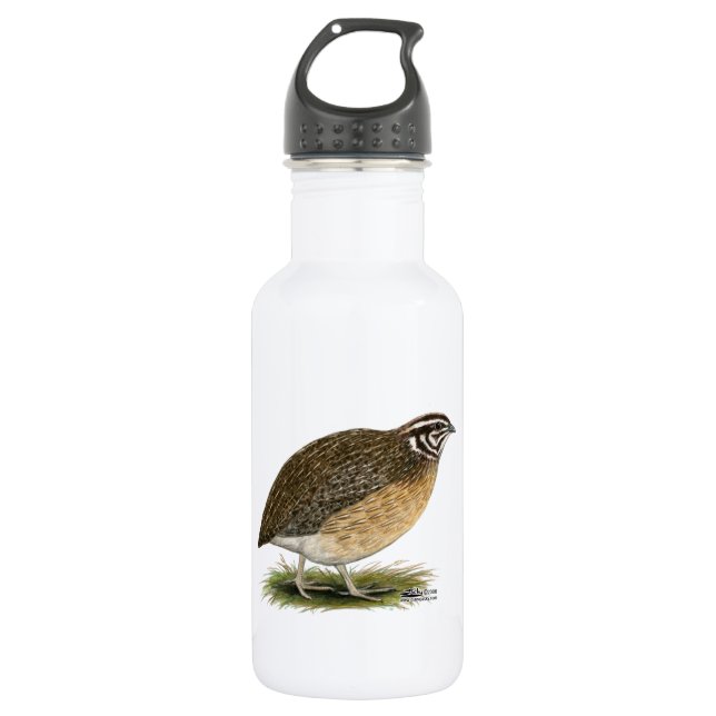 Coturnix Pharaoh Quail 532 Ml Water Bottle (Front)