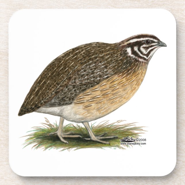 Coturnix Pharaoh Quail Coaster (Front)
