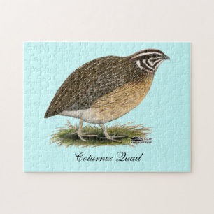 Coturnix Pharaoh Quail Jigsaw Puzzle