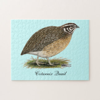 Coturnix Pharaoh Quail Jigsaw Puzzle