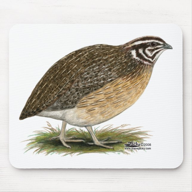 Coturnix Pharaoh Quail Mouse Pad (Front)