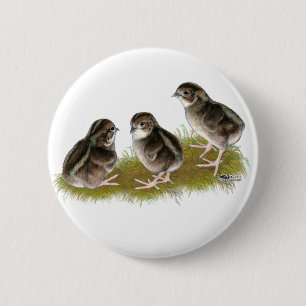 Coturnix Quail Chicks 6 Cm Round Badge