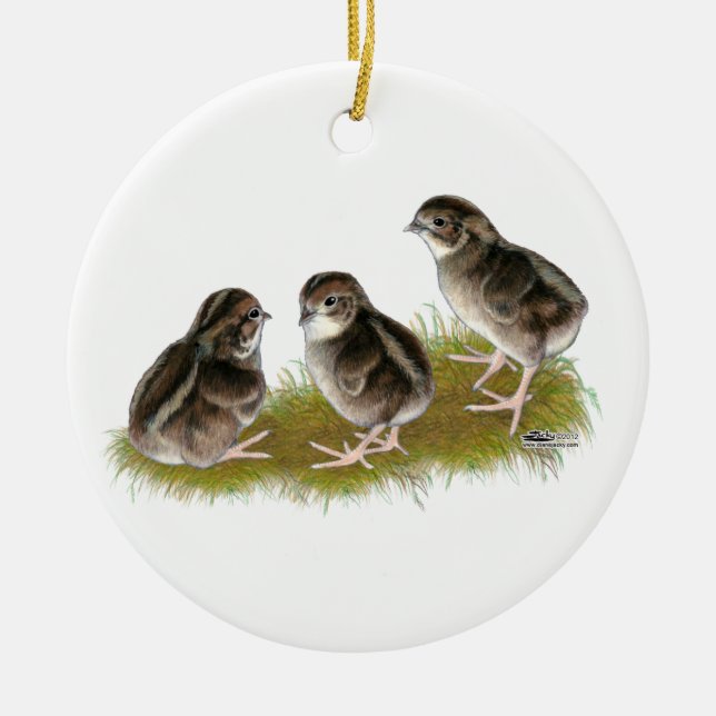Coturnix Quail Chicks Ceramic Tree Decoration (Front)