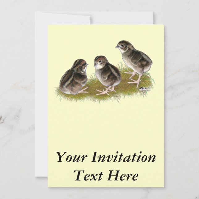 Coturnix Quail Chicks Invitation (Front)