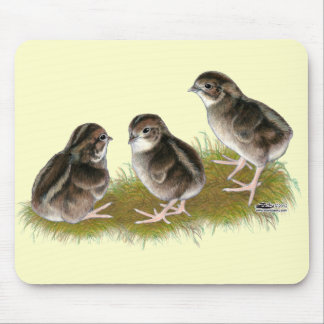 Coturnix Quail Chicks Mouse Pad