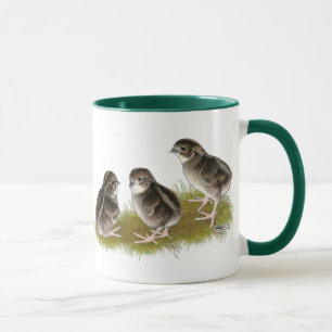 Coturnix Quail Chicks Mug