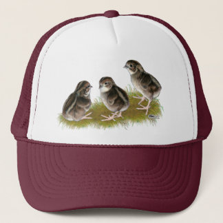 Coturnix Quail Chicks Trucker Hat