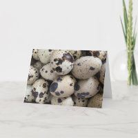 Coturnix Quail Egg
