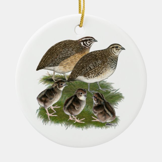 Coturnix Quail Family Ceramic Tree Decoration (Front)
