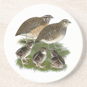 Coturnix Quail Family Coaster