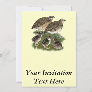 Coturnix Quail Family Invitation