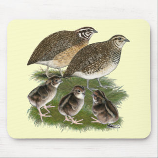 Coturnix Quail Family Mouse Pad