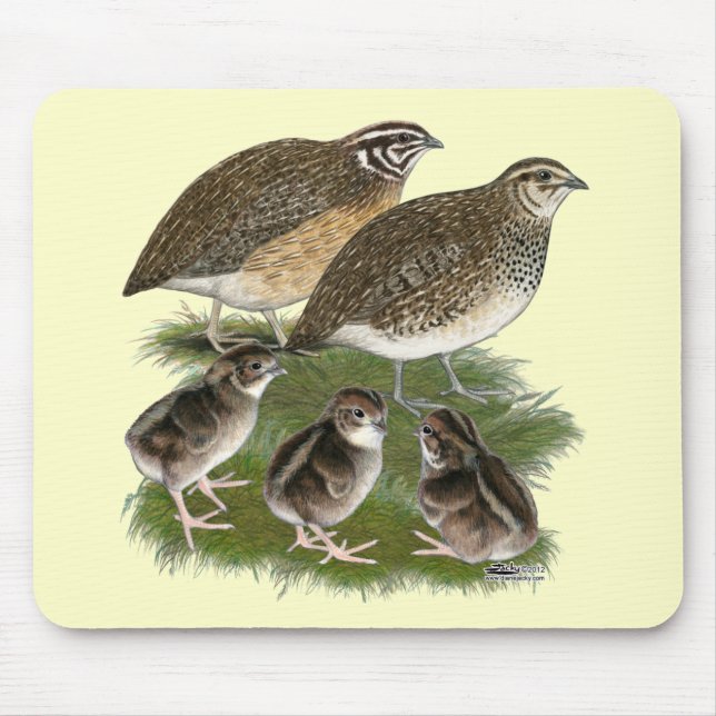 Coturnix Quail Family Mouse Pad (Front)