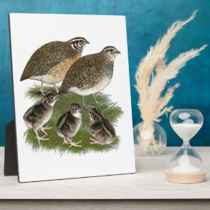 Coturnix Quail Family Plaque