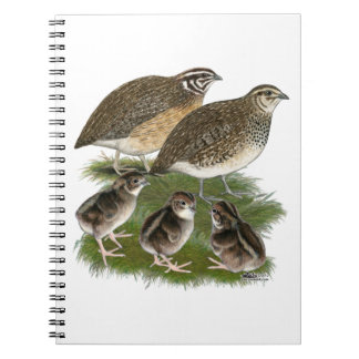 Coturnix Quail Family Spiral Notebook