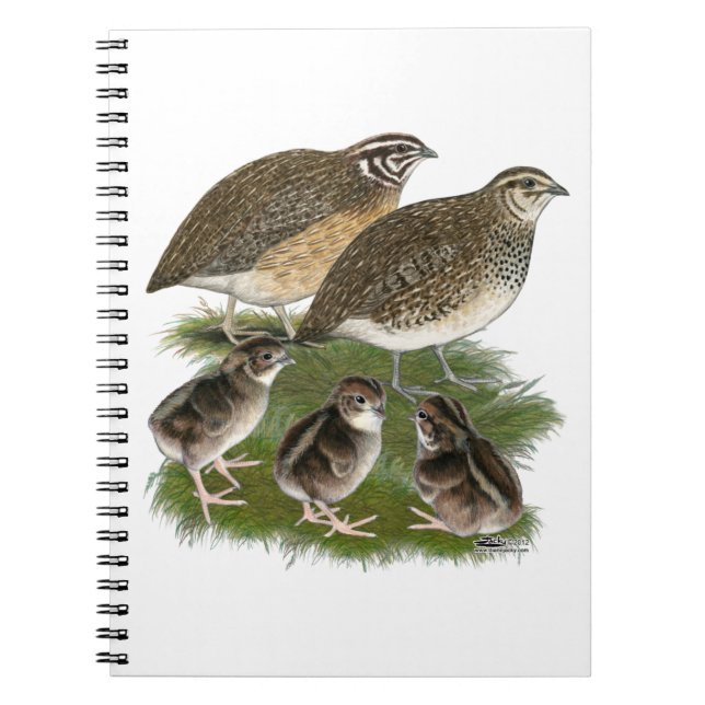 Coturnix Quail Family Spiral Notebook (Front)