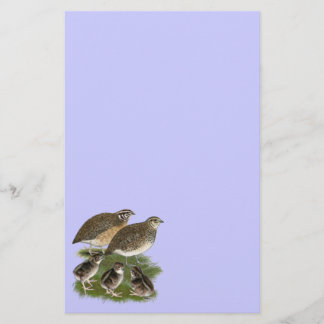 Coturnix Quail Family Stationery