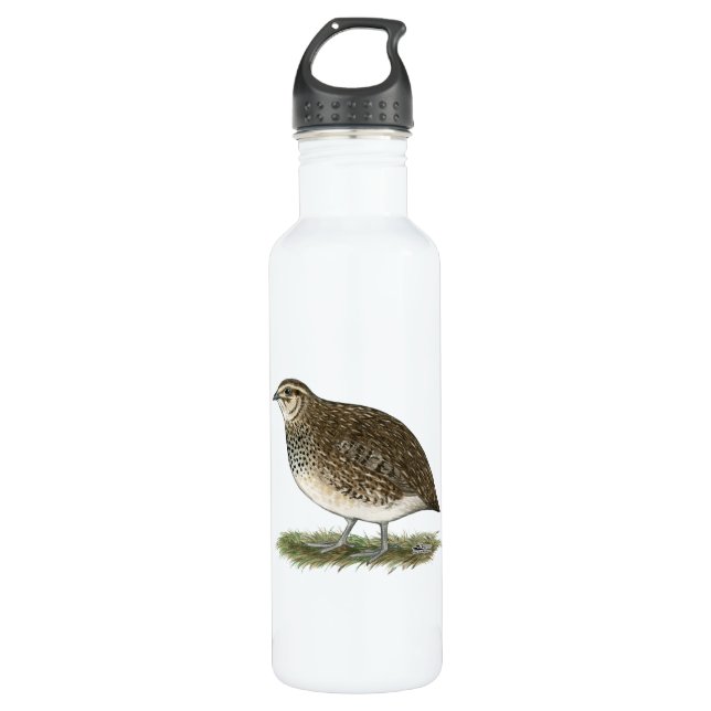 Coturnix Quail Hen 710 Ml Water Bottle (Front)