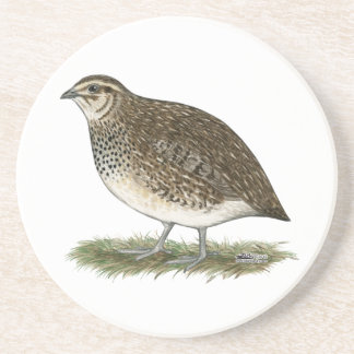 Coturnix Quail Hen Coaster