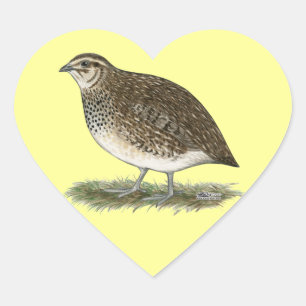 Coturnix Quail Hen Heart Sticker
