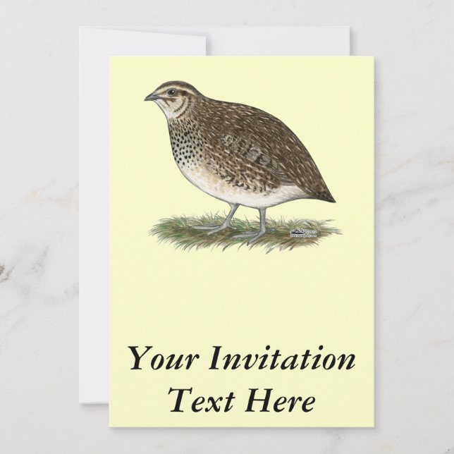 Coturnix Quail Hen Invitation (Front)