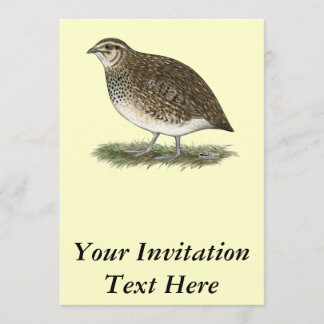 Coturnix Quail Hen Invitation