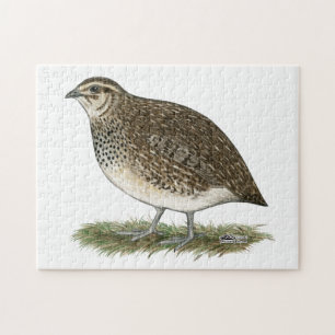 Coturnix Quail Hen Jigsaw Puzzle